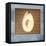 Avocado in Three 03-Kory Fluckiger-Framed Stretched Canvas