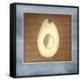 Avocado in Three 03-Kory Fluckiger-Framed Stretched Canvas