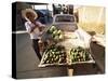 Avocado Vendor, Comayagua, Honduras, Central America-Colin Brynn-Stretched Canvas