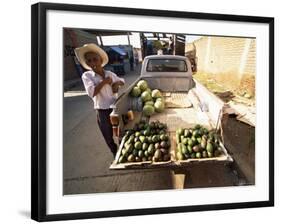 Avocado Vendor, Comayagua, Honduras, Central America-Colin Brynn-Framed Photographic Print