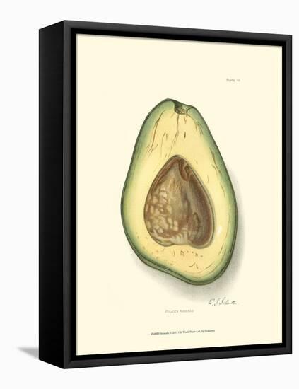 Avocado-null-Framed Stretched Canvas