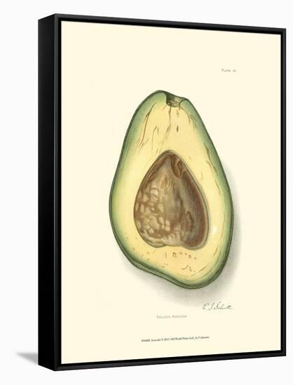 Avocado-null-Framed Stretched Canvas