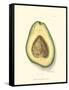 Avocado-null-Framed Stretched Canvas