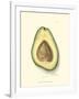 Avocado-null-Framed Art Print