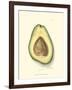 Avocado-null-Framed Art Print