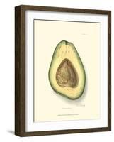 Avocado-null-Framed Art Print