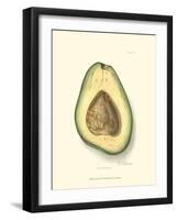 Avocado-null-Framed Art Print