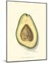 Avocado-null-Mounted Art Print