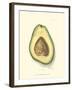 Avocado-null-Framed Art Print