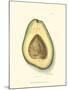 Avocado-null-Mounted Art Print