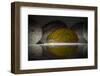 Avocado-Wieteke de Kogel-Framed Photographic Print