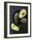 Avocados-Jan-peter Westermann-Framed Photographic Print