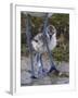 Avocet (Recurvirostra Avosetta) Chick Standing Behind Parents Legs, Texel, Netherlands, May 2009-Peltomäki-Framed Photographic Print