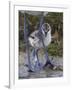 Avocet (Recurvirostra Avosetta) Chick Standing Behind Parents Legs, Texel, Netherlands, May 2009-Peltomäki-Framed Photographic Print