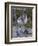 Avocet (Recurvirostra Avosetta) Chick Standing Behind Parents Legs, Texel, Netherlands, May 2009-Peltomäki-Framed Photographic Print