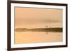 Avocet (Recurvirostra Avosetta) in Mist on Grazing Marsh at Dawn, Thames Estuary, North Kent, UK-Terry Whittaker-Framed Photographic Print