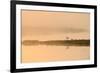 Avocet (Recurvirostra Avosetta) in Mist on Grazing Marsh at Dawn, Thames Estuary, North Kent, UK-Terry Whittaker-Framed Photographic Print