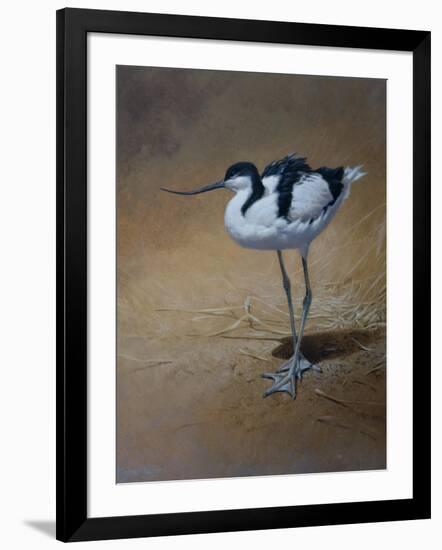 Avocet-Michael Jackson-Framed Giclee Print