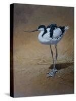 Avocet-Michael Jackson-Stretched Canvas