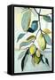 Canvas Black