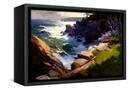 Canvas Black