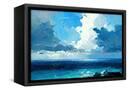 Canvas Black