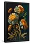 Essential Black