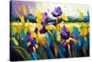 Stretched Canvas