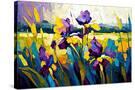 Stretched Canvas