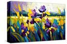 Stretched Canvas