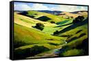 Canvas Black
