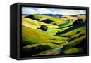 Canvas Black