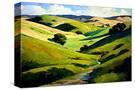 Stretched Canvas
