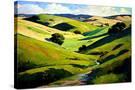 Stretched Canvas