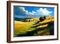 Brown Frame