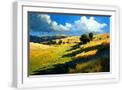 White Frame