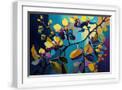 White Frame