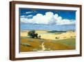 Brown Frame