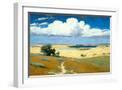 White Frame