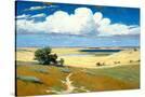 Stretched Canvas