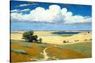 Stretched Canvas