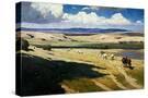 Stretched Canvas