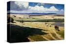 Stretched Canvas