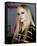 Avril Lavigne-null-Framed Stretched Canvas
