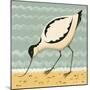 Avuncular Avocet-Catriona Hall-Mounted Giclee Print