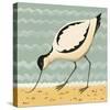 Avuncular Avocet-Catriona Hall-Stretched Canvas