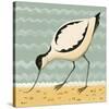 Avuncular Avocet-Catriona Hall-Stretched Canvas