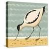 Avuncular Avocet-Catriona Hall-Stretched Canvas