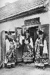 Mule with Water Kegs, Sicily, Italy, C1923-AW Cutler-Giclee Print