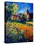 Awagne In Summer-Pol Ledent-Stretched Canvas